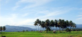 OOOoiii……. ANAK NAGARI KOTOGADANG BILO KAMPUANG KO KA ELOK KO …….????
