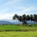 OOOoiii……. ANAK NAGARI KOTOGADANG BILO KAMPUANG KO KA ELOK KO …….????